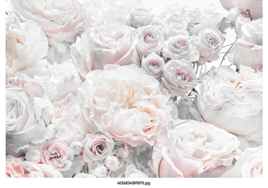 Zdjęcie: Fototapeta  Spring Roses VENA