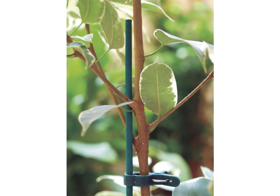 Zdjęcie: Tyczka bambusowa naturalna Split Bamboo 0,60 m, jasny zielony NORTENE