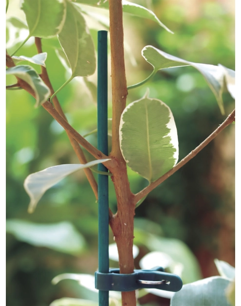 Zdjęcie: Tyczka bambusowa naturalna Split Bamboo 0,60 m, jasny zielony NORTENE