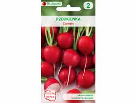 Rzodkiewka Carmen nasiona tradycyjne 10 g W. LEGUTKO