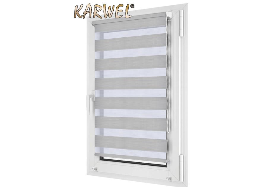 Zdjęcie: Roleta Mini 42x150 cm DN27 KARWEL