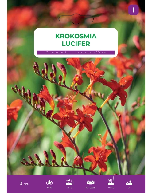 Zdjęcie: Kroksmia Lucifer LEGUTKO