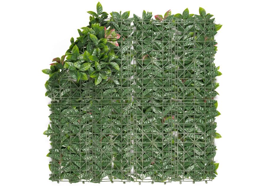 Zdjęcie: Ścianka Vertical Red Lauro, 1x1m, zielony NORTENE