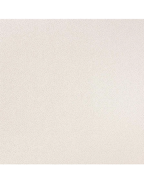 Zdjęcie: Płyta sufitowa Sahara Tegular 15 1200x600x15 ARMSTRONG