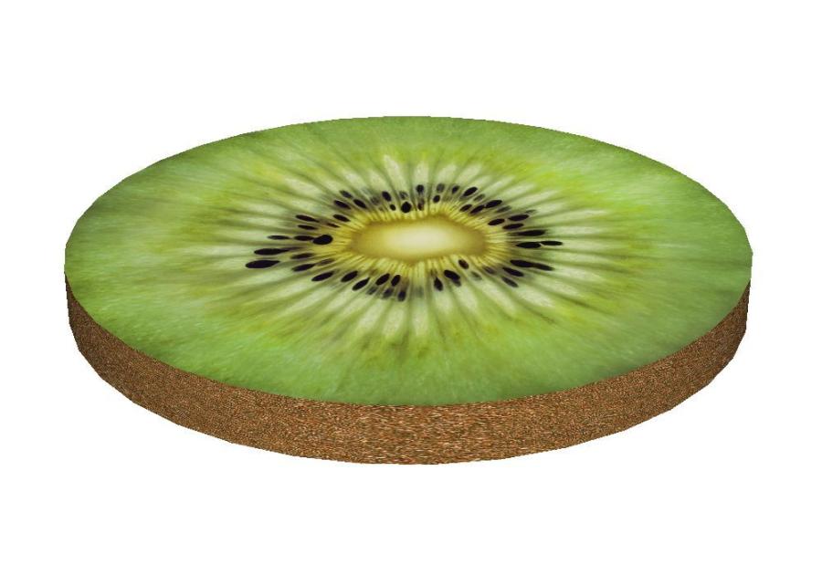 Zdjęcie: Poducha Ring Kiwi BERTONI