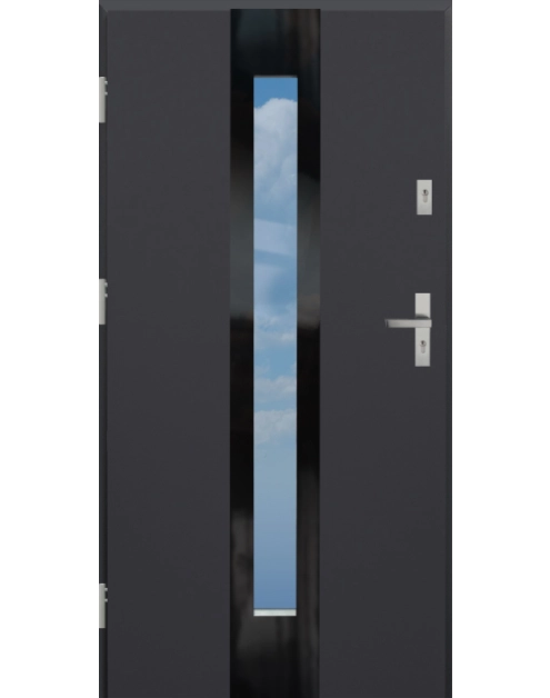 Zdjęcie: Drzwi zewnętrzne Disting Olivio Glass 03 antracyt 90 cm lewe KR CENTER