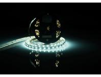 Zdjęcie: Taśma LED 50 m premium 12 V dioda 50x50 IP20 14,4 W/m zimna biała POLGAR