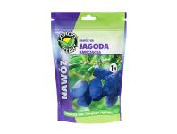 Zdjęcie: Nawóz na jagodę kamczacką doypack 1 kg OGRÓD START