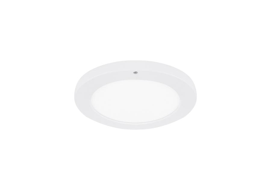 Zdjęcie: PLAFONIERA Z CZUJNIKIEM RUCHU  OLGIERD LED C MVS 12W WHITE CCT