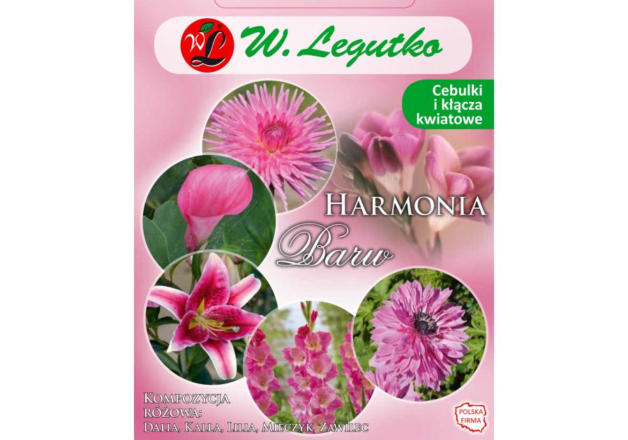 Zdjęcie: Kompozycja różowa Harmonia Barw Wiosna W.LEGUTKO