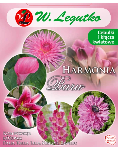 Zdjęcie: Kompozycja różowa Harmonia Barw Wiosna W.LEGUTKO