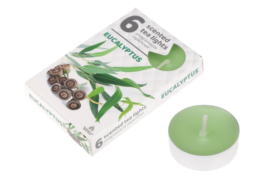 Zdjęcie: Podgrzewacz zapachowy 6 sztuk 97194 Eukaliptus RAVI