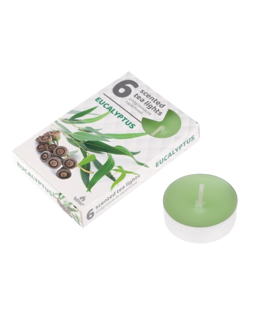 Zdjęcie: Podgrzewacz zapachowy 6 sztuk 97194 Eukaliptus RAVI