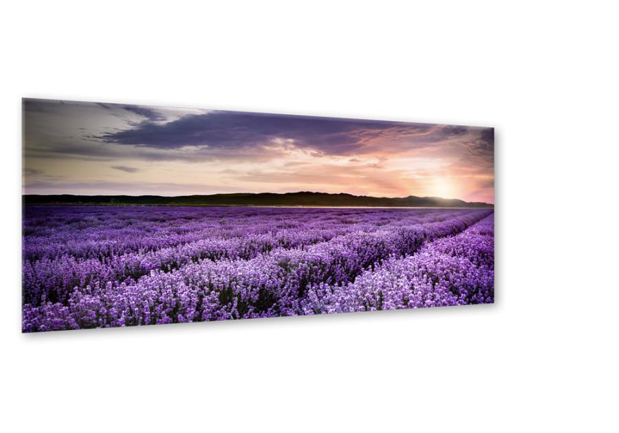 Zdjęcie: Obraz Glasspik Nature 50x125 cm Ex372 Lavender Field STYLER