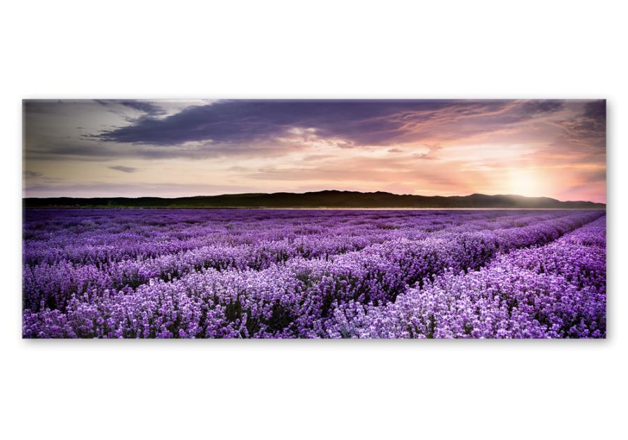 Zdjęcie: Obraz Glasspik Nature 50x125 cm Ex372 Lavender Field STYLER