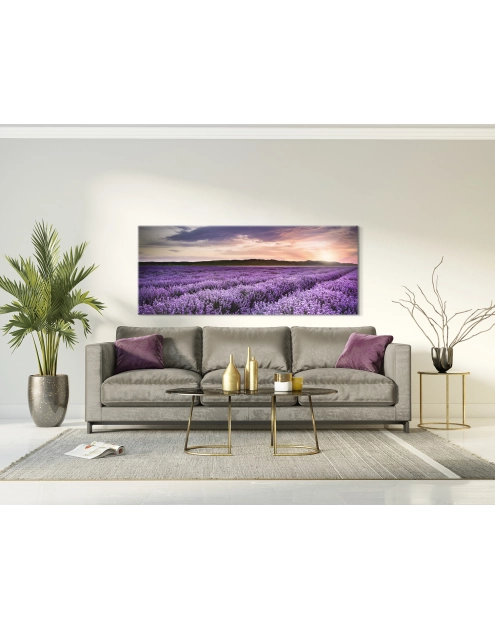 Zdjęcie: Obraz Glasspik Nature 50x125 cm Ex372 Lavender Field STYLER