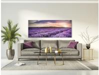 Zdjęcie: Obraz Glasspik Nature 50x125 cm Ex372 Lavender Field STYLER
