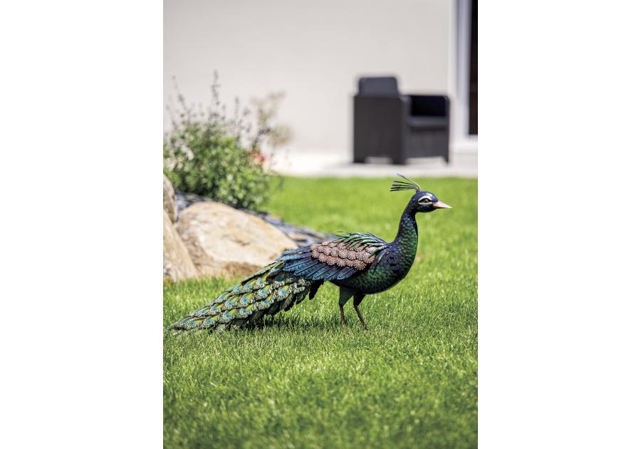 Zdjęcie: Figurka pawia ze złożonym ogonem Peacky 0,28 x 0,94 x 0,52 m NORTENE