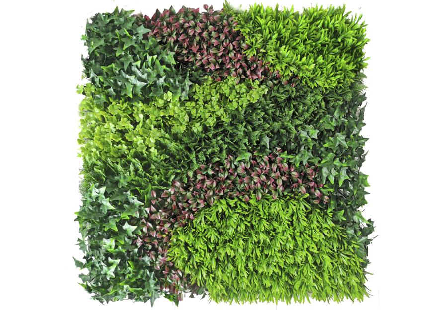 Zdjęcie: Ścianka z mieszanymi liśćmi Vertical Costa, 1x1 m, zielony NORTENE