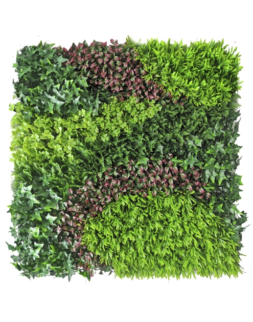 Zdjęcie: Ścianka z mieszanymi liśćmi Vertical Costa, 1x1 m, zielony NORTENE
