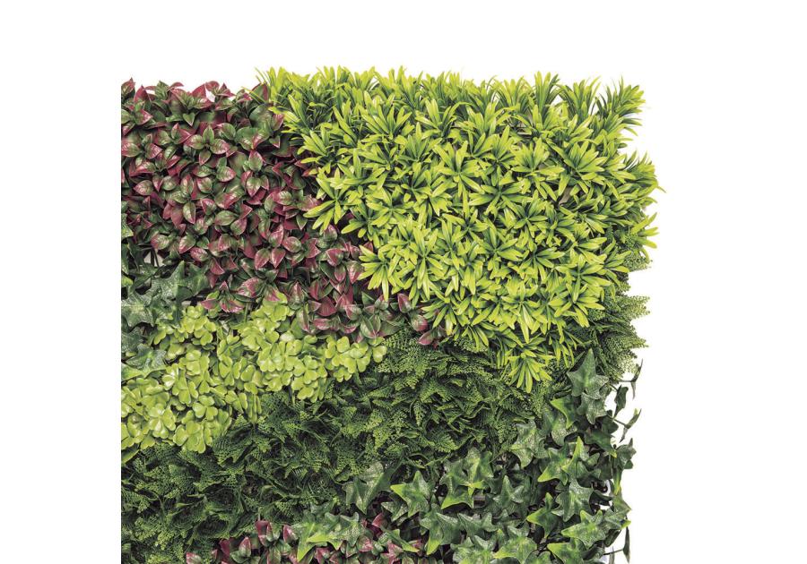 Zdjęcie: Ścianka z mieszanymi liśćmi Vertical Costa, 1x1 m, zielony NORTENE