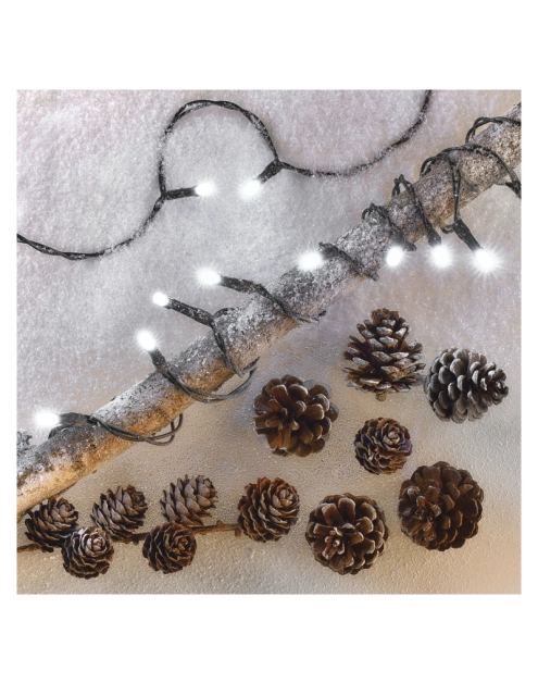 Zdjęcie: Lampki choinkowe 50 LED 2,5 m IP20 CW EMOS