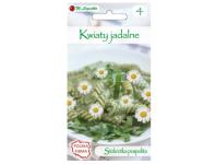 Zdjęcie: Kwiaty jadalne - Stokrotka pospolita biała 0,20 g W.LEGUTKO