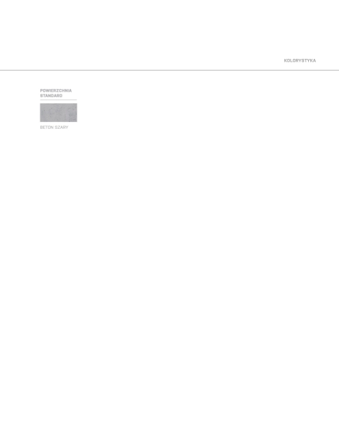 Zdjęcie: Płyta betonowa wielotowarowa 90x60x10 cm BETARD