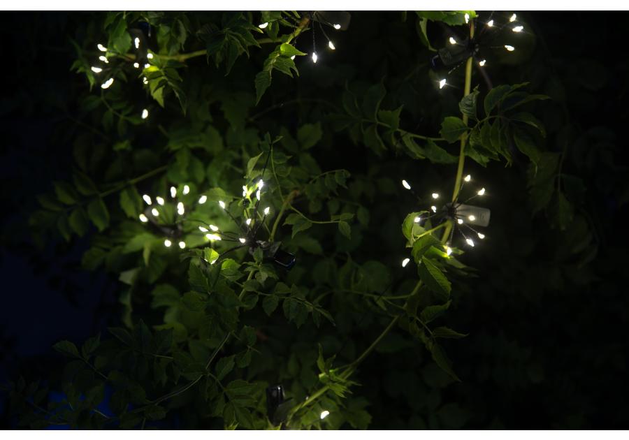 Zdjęcie: Girlanda solarna z klipsami Starlight VERDENIA