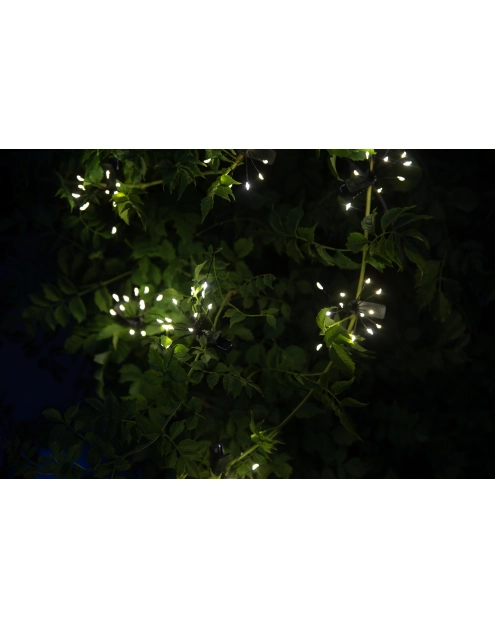 Zdjęcie: Girlanda solarna z klipsami Starlight VERDENIA