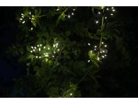 Zdjęcie: Girlanda solarna z klipsami Starlight VERDENIA
