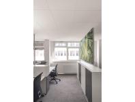 Zdjęcie: Płyta sufitowa do sufitów podwieszanych laminowana Thermatex Acoustic Vector 600x600x19 KCS