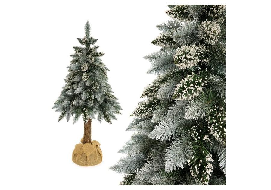 Zdjęcie: Sosna perłowa na pniu 120 cm SONIC