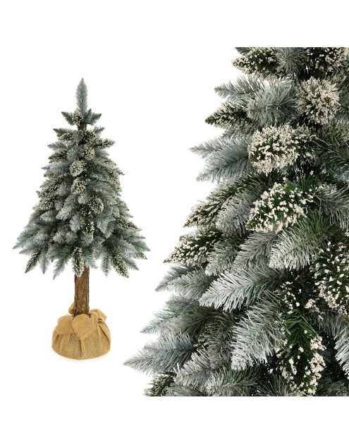 Zdjęcie: Sosna perłowa na pniu 120 cm SONIC