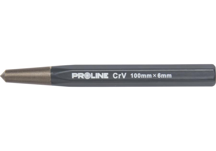 Zdjęcie: Punktak 100x6 mm PROLINE