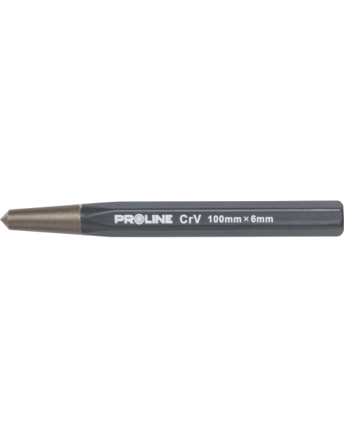 Zdjęcie: Punktak 100x6 mm PROLINE