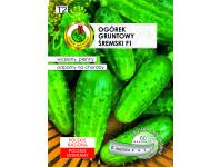 Zdjęcie: Ogórek gruntowy Śremski F1 nasiona na taśmie 6 m PNOS
