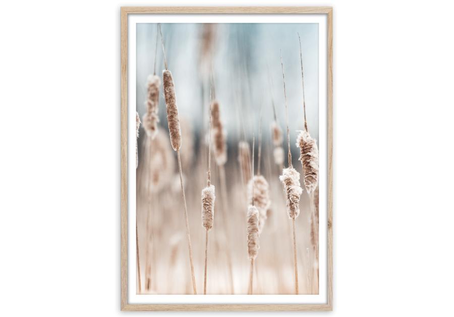 Zdjęcie: Plakat Framepic 50x70 cm Fp056 Grass STYLER