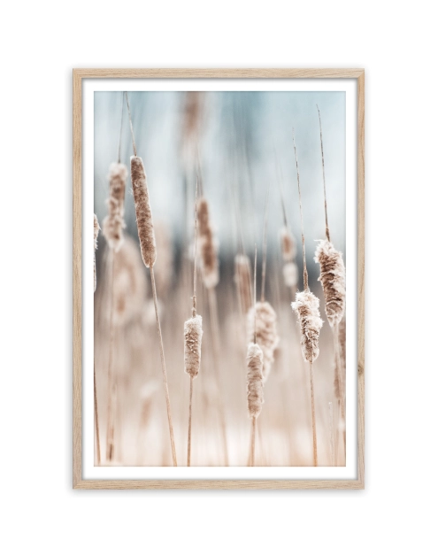 Zdjęcie: Plakat Framepic 50x70 cm Fp056 Grass STYLER