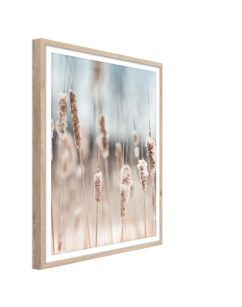 Zdjęcie: Plakat Framepic 50x70 cm Fp056 Grass STYLER