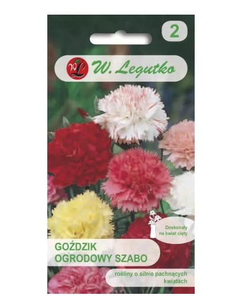 Zdjęcie: Goździk ogrodowy Szabo mieszanka 0,5 g W.LEGUTKO