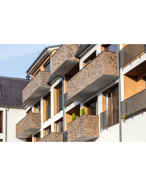 Zdjęcie: Płytki Country 618 STEGU