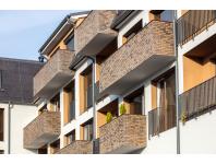 Zdjęcie: Płytki Country 618 STEGU