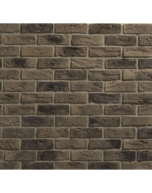 Zdjęcie: Płytki Country 618 STEGU