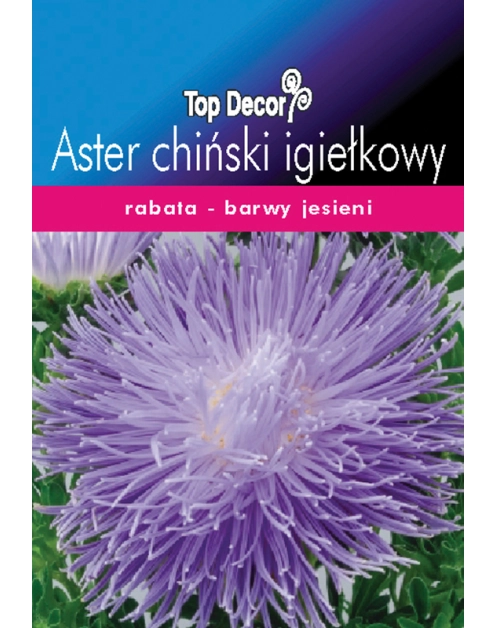 Zdjęcie: Aster chiński igiełkowy TOP DECOR