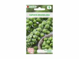 Kapusta brukselska Groninger nasiona tradycyjne 0.8 g W. LEGUTKO