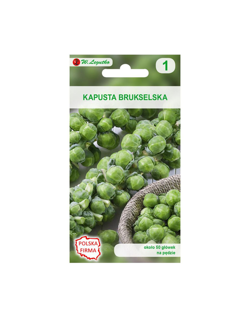 Zdjęcie: Kapusta brukselska Groninger nasiona tradycyjne 0.8 g W. LEGUTKO