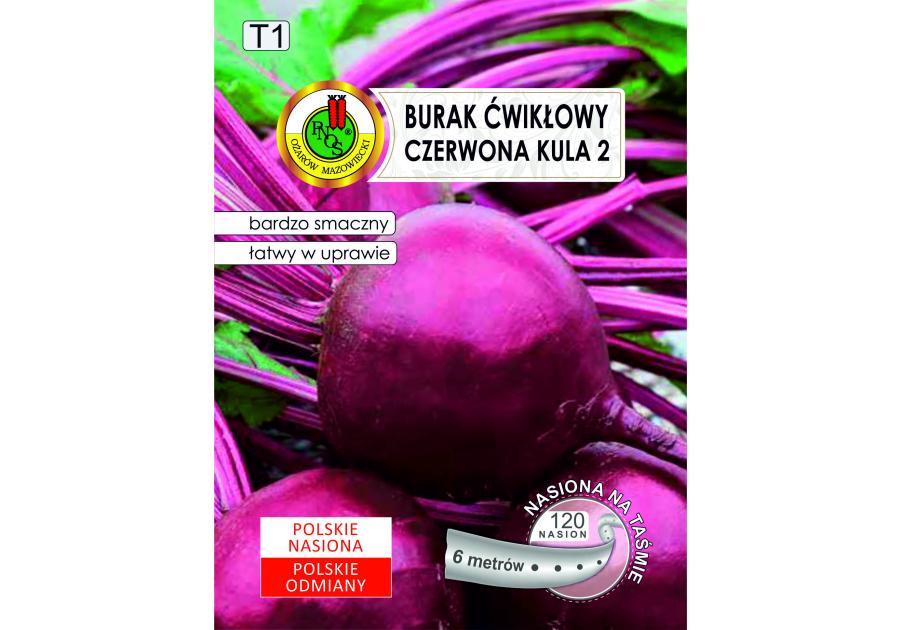 Zdjęcie: Burak ćwikłowy Czerwona kula 2, 6 m PNOS
