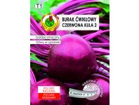 Zdjęcie: Burak ćwikłowy Czerwona kula 2, 6 m PNOS