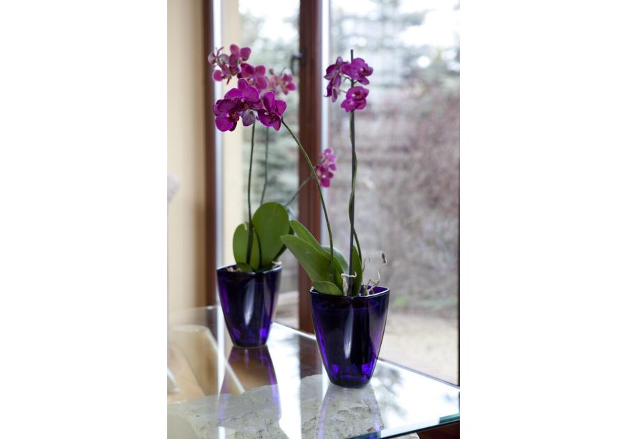 Zdjęcie: Osłonka storczykowa 12 cm fioletowy VERDENIA